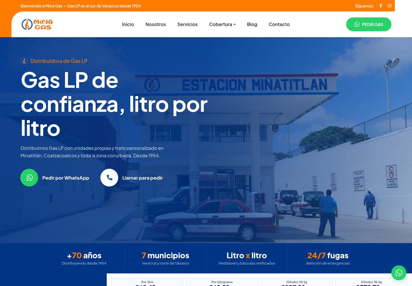Diseño y desarrollo web para Minagas
